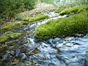 2007-05-22 065.JPG